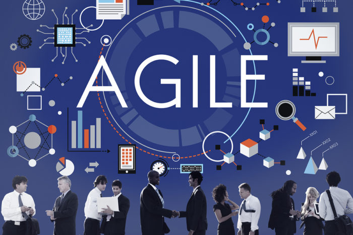 How to Implement Agile in an Organization? I DevTeam.Space [Video]