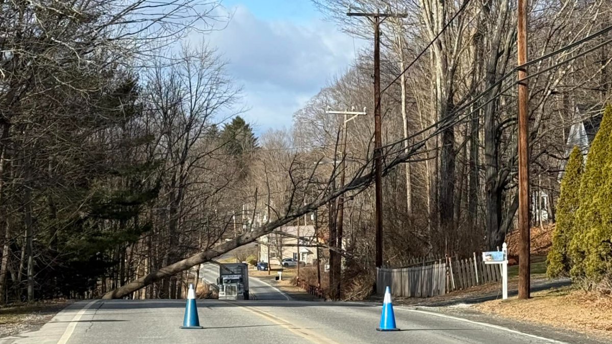 Power outages in Mass., Logan Airport delays due to wind  NECN [Video]