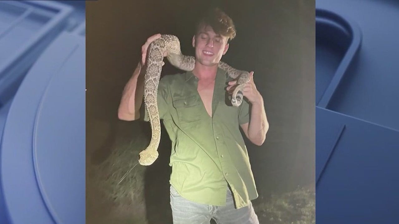 Florida wildlife enthusiast survives rattlesnake bite [Video]