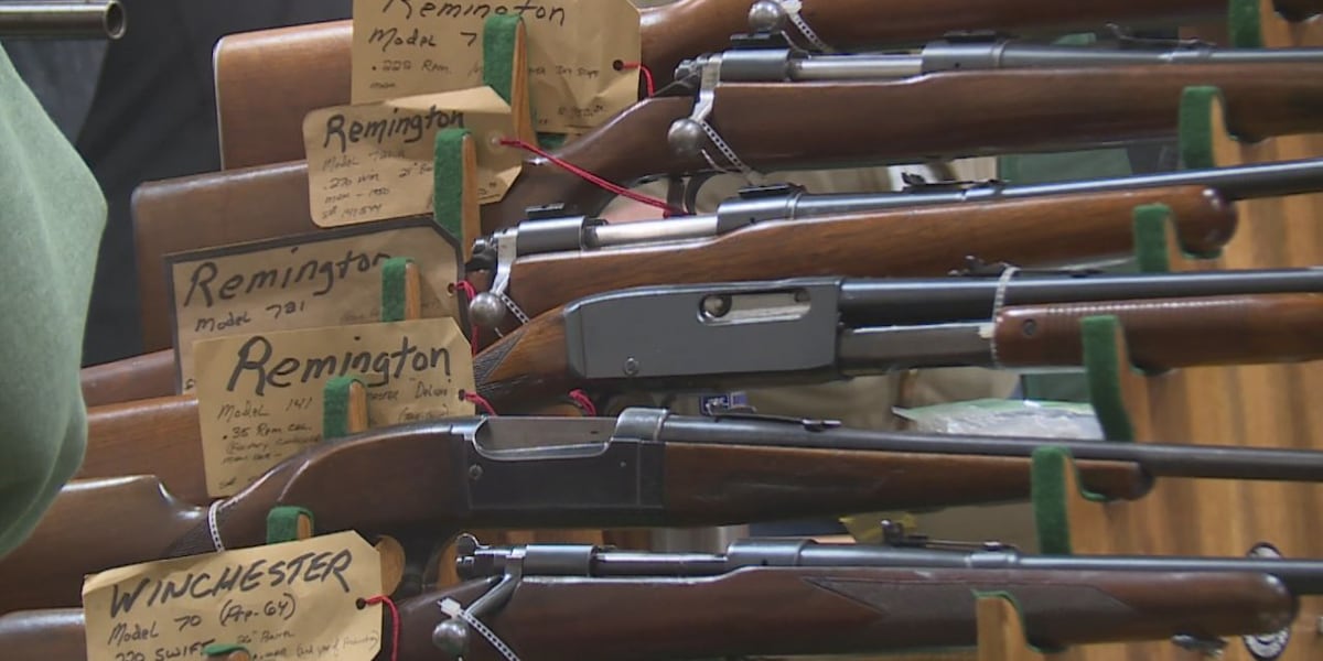 Dakota Territory Gun Collectors bring in The Big One Gun Show [Video]