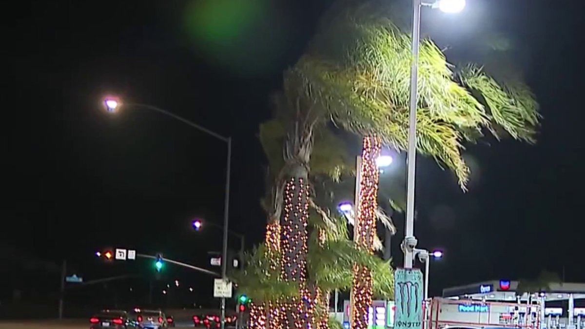 Local school districts take safety precautions amid high wind warnings  NBC Los Angeles [Video]