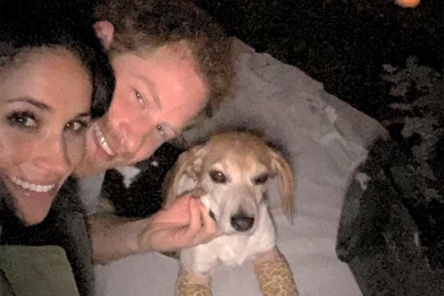 How Meghan Markle’s Dog Guy Played a Role When Prince Harry Proposed [Video]