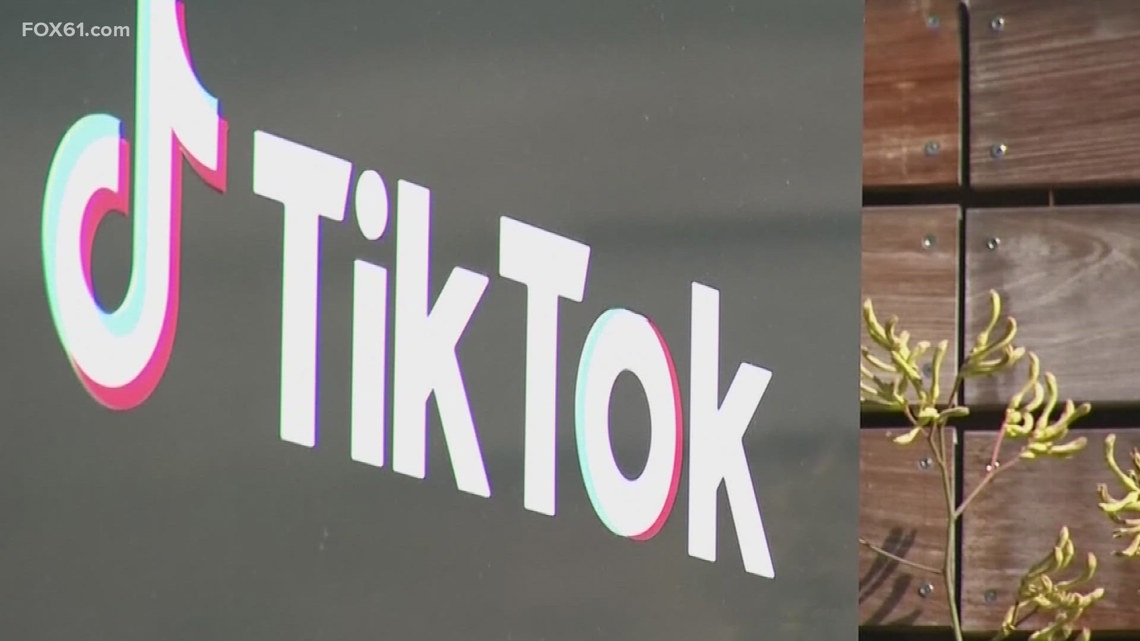 Connecticut content creators prepare for TikTok ban [Video]