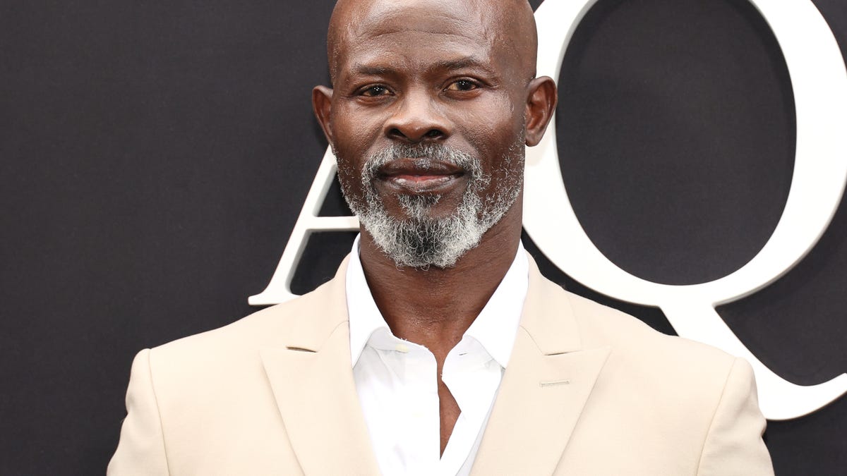 Actor Djimon Hounsou Struggles To Make a Living [Video]