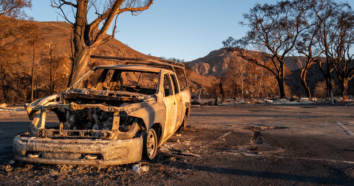 What sparked the L.A. fires is different from the underlying causes  WSOC TV [Video]