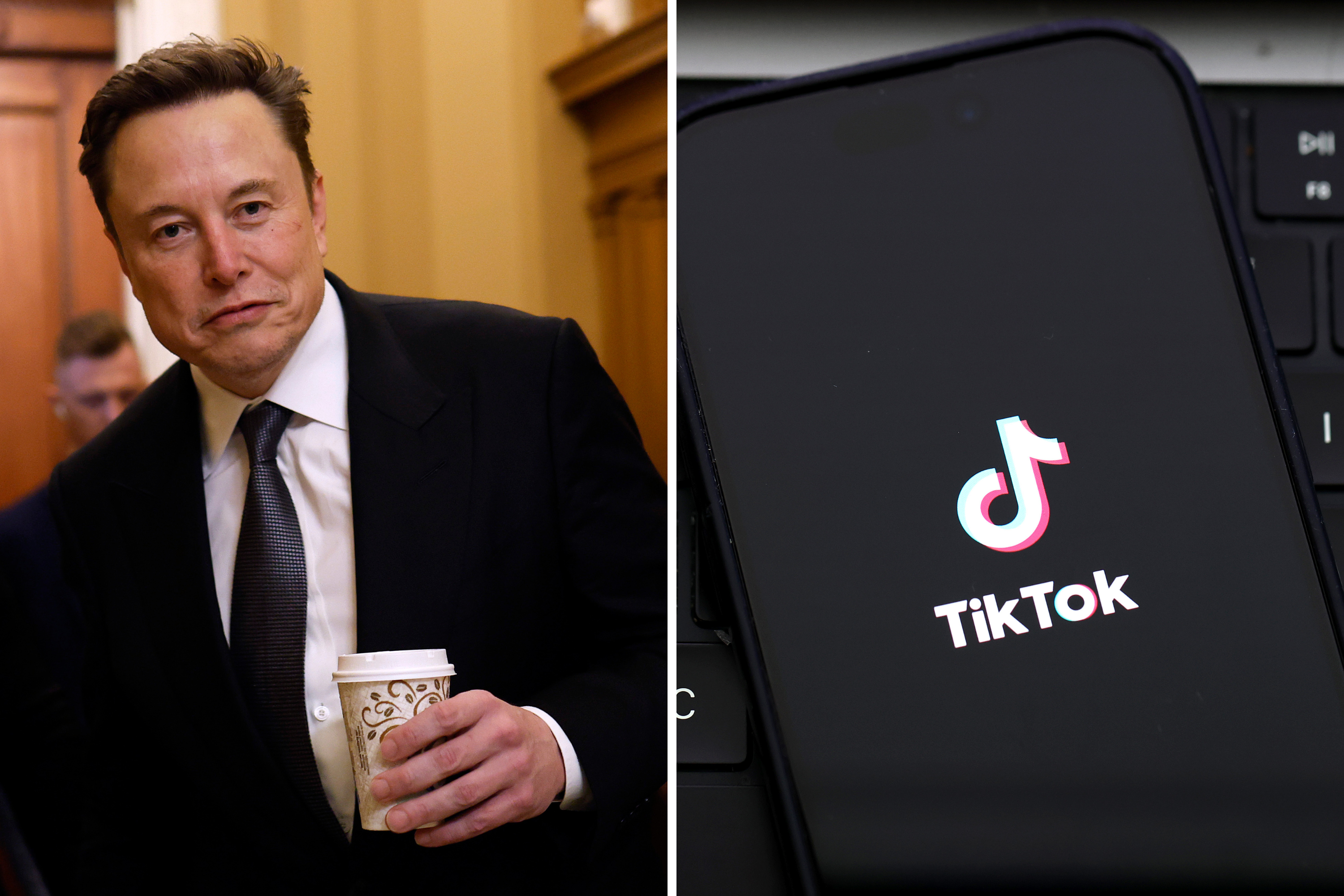 Will Elon Musk Buy TikTok? What We Know [Video]