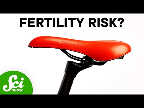 Does Underwear Affect Sperm Counts? [Video]