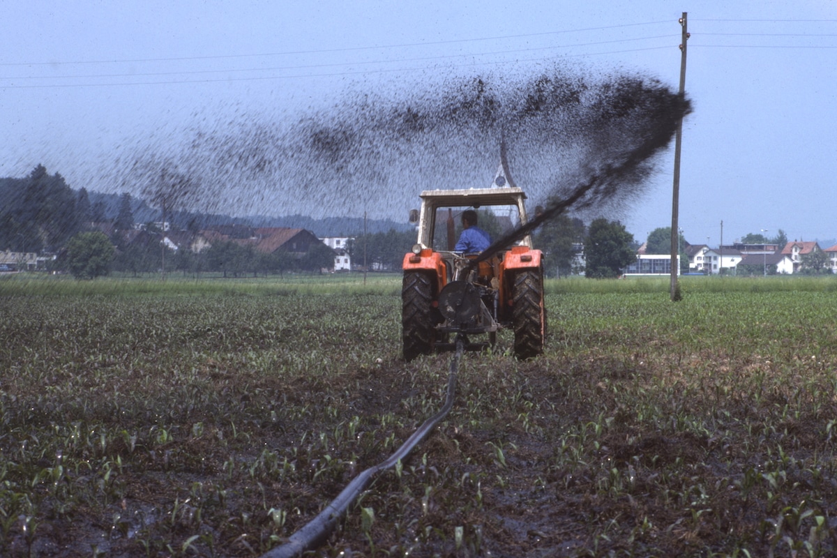 PFAS Forever Chemicals Used on Farms Could Significantly Raise Health Risks, EPA Draft Guidelines Warn [Video]