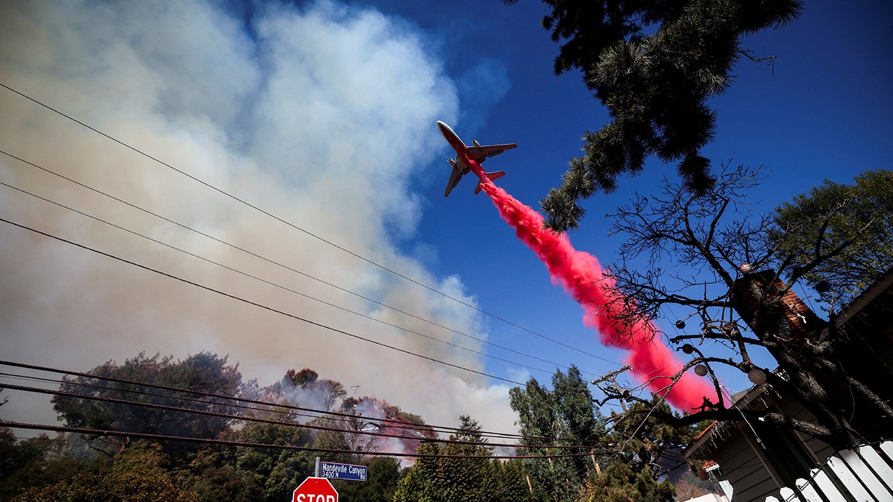 LA wildfires: Aerial firefighters leader says flames should be 