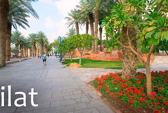 Beautiful Israel: Eilat  the City of Dreams on the Shores of the Red Sea (video)