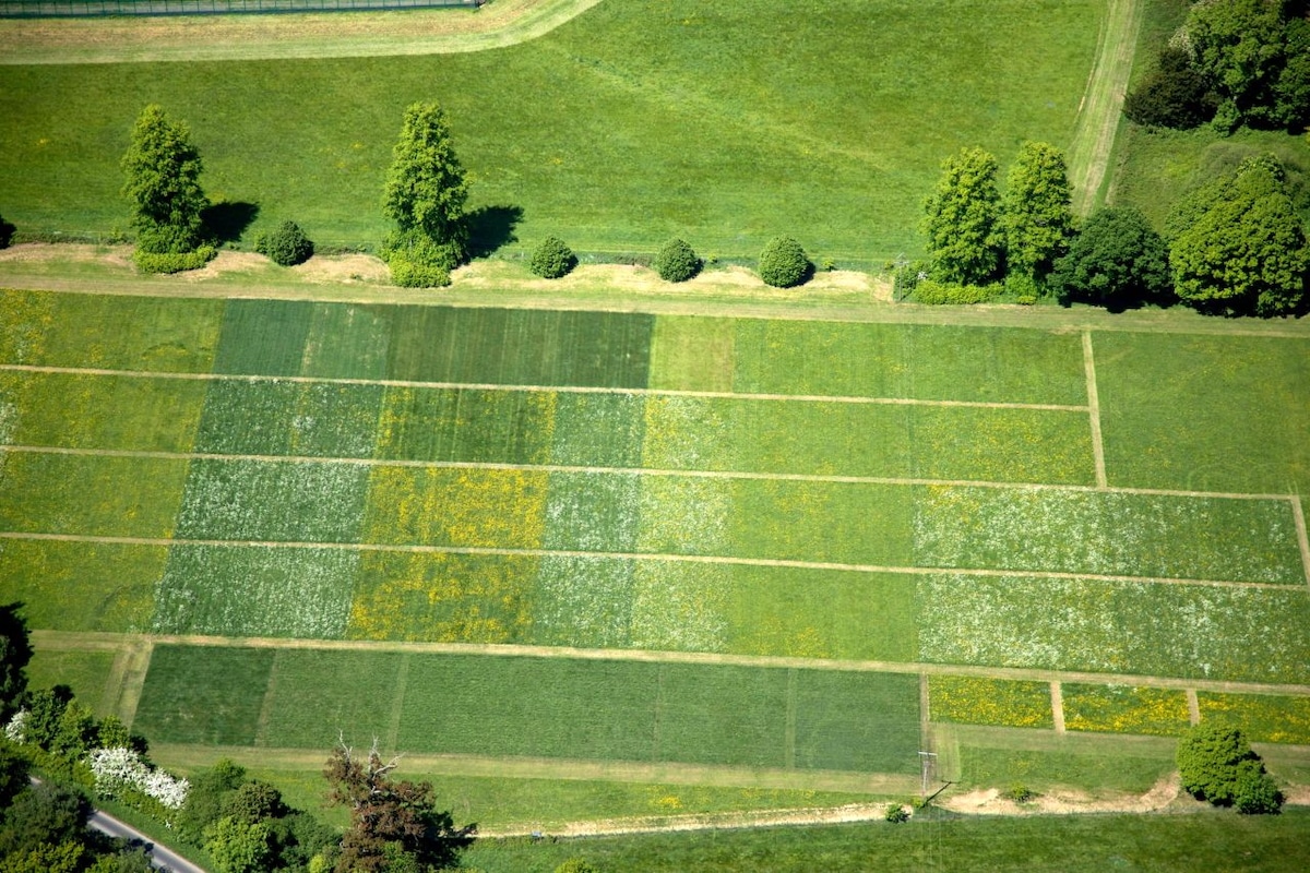 Higher Fertilizer Use Reduces Pollinators by Half and Plants Suffer in Response, Study Finds [Video]