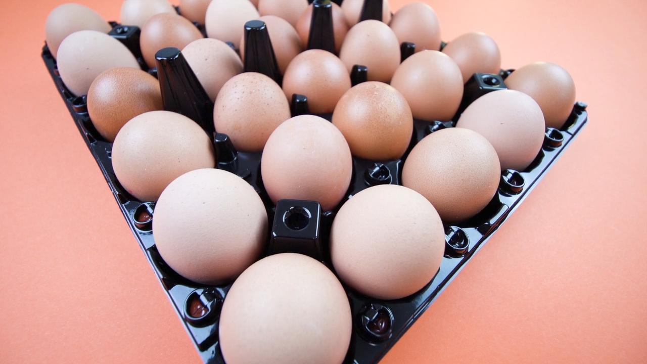 Rising Egg Prices Prompt These Budget-Friendly [Video]