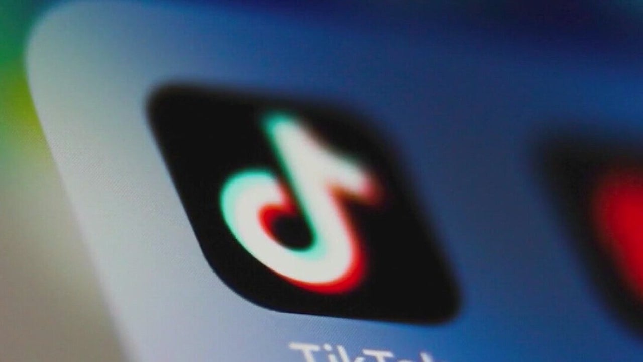 TikTok creators worried about ban [Video]