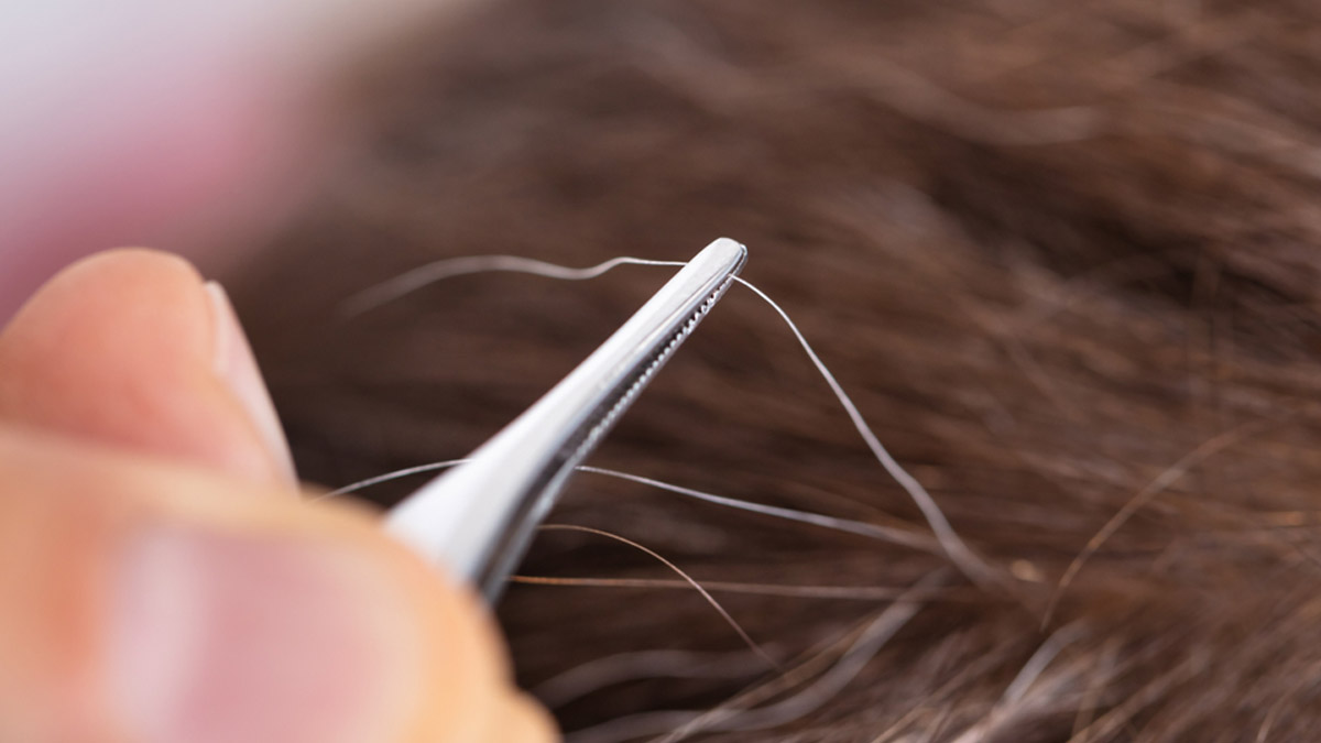 Do Plucking Out Grey Hair Lead More To Grow? We Asked Expert<!-- --> [Video]